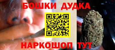 спиды Обь