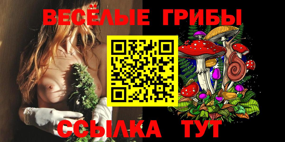 Псилоцибиновые грибы прущие грибы Ставрополь